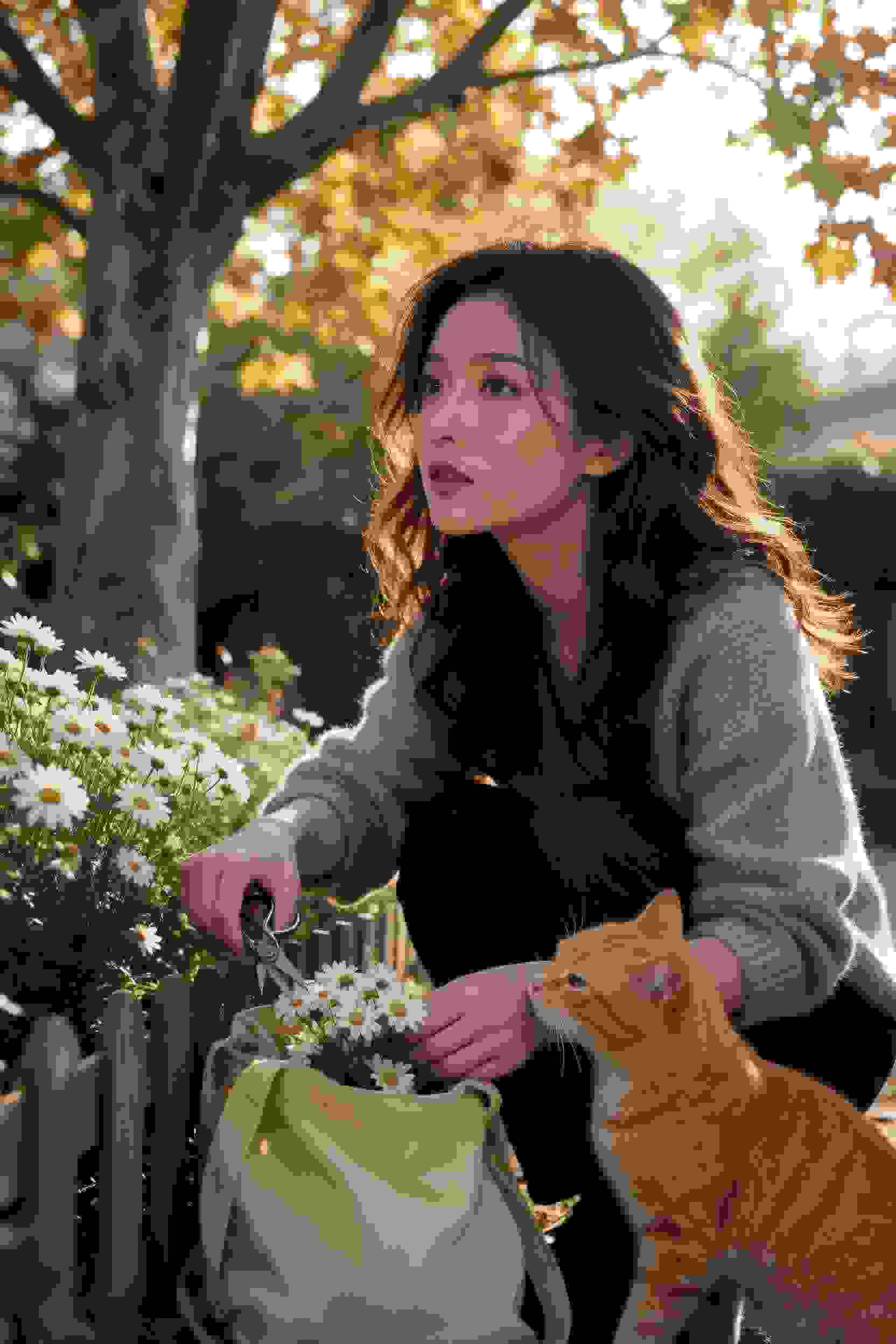 射雕英雄传2008